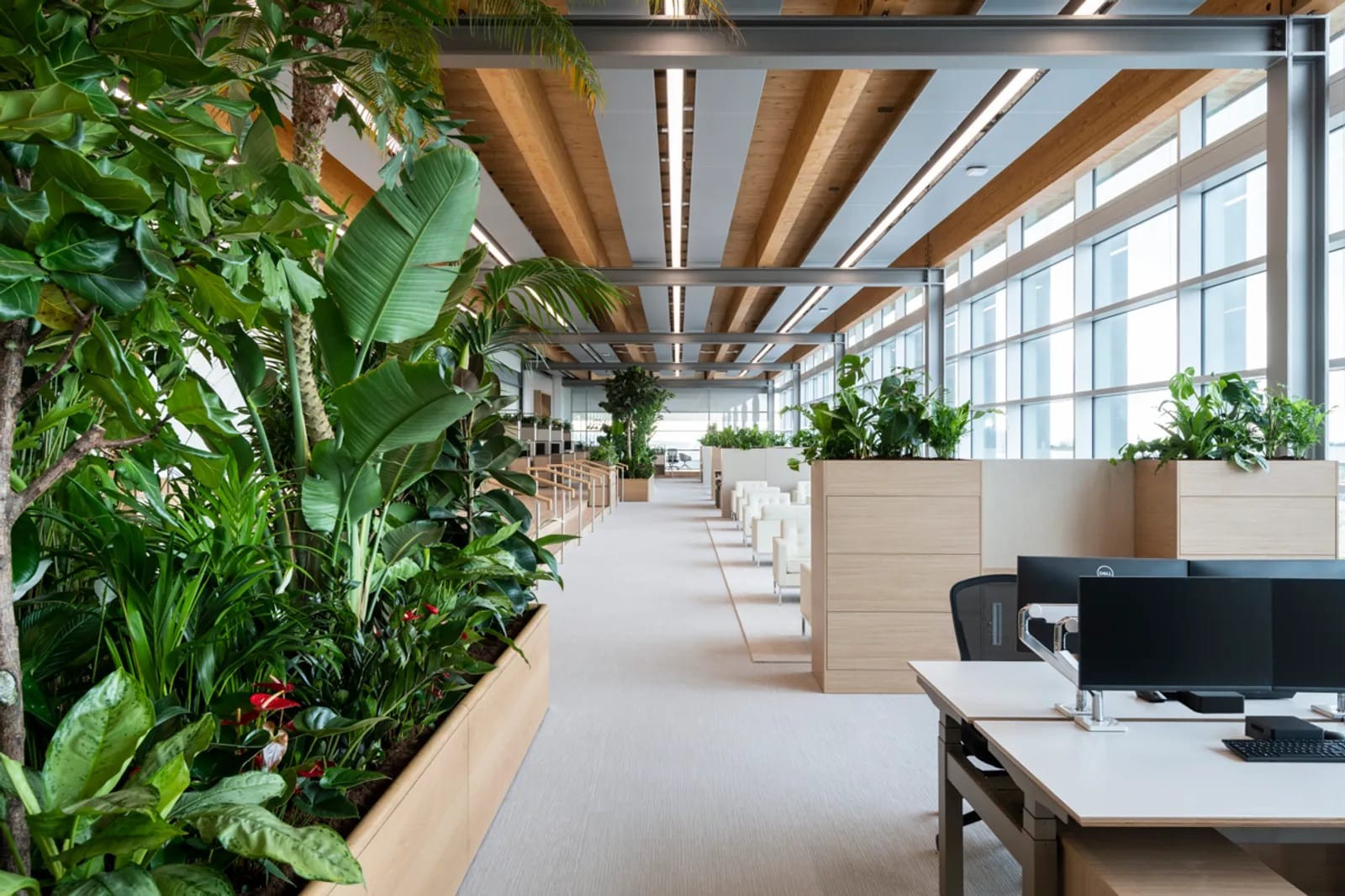 Azure Office Complex